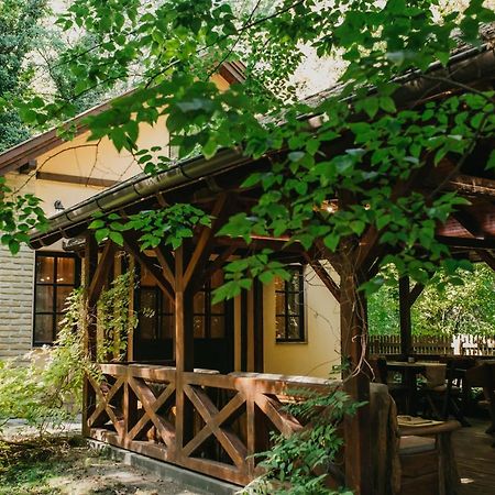 Forest House Палич Экстерьер фото