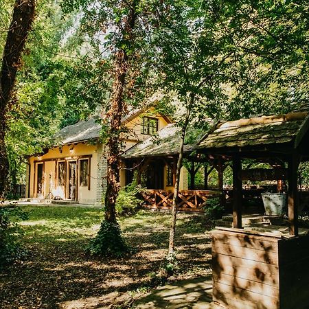 Forest House Палич Экстерьер фото