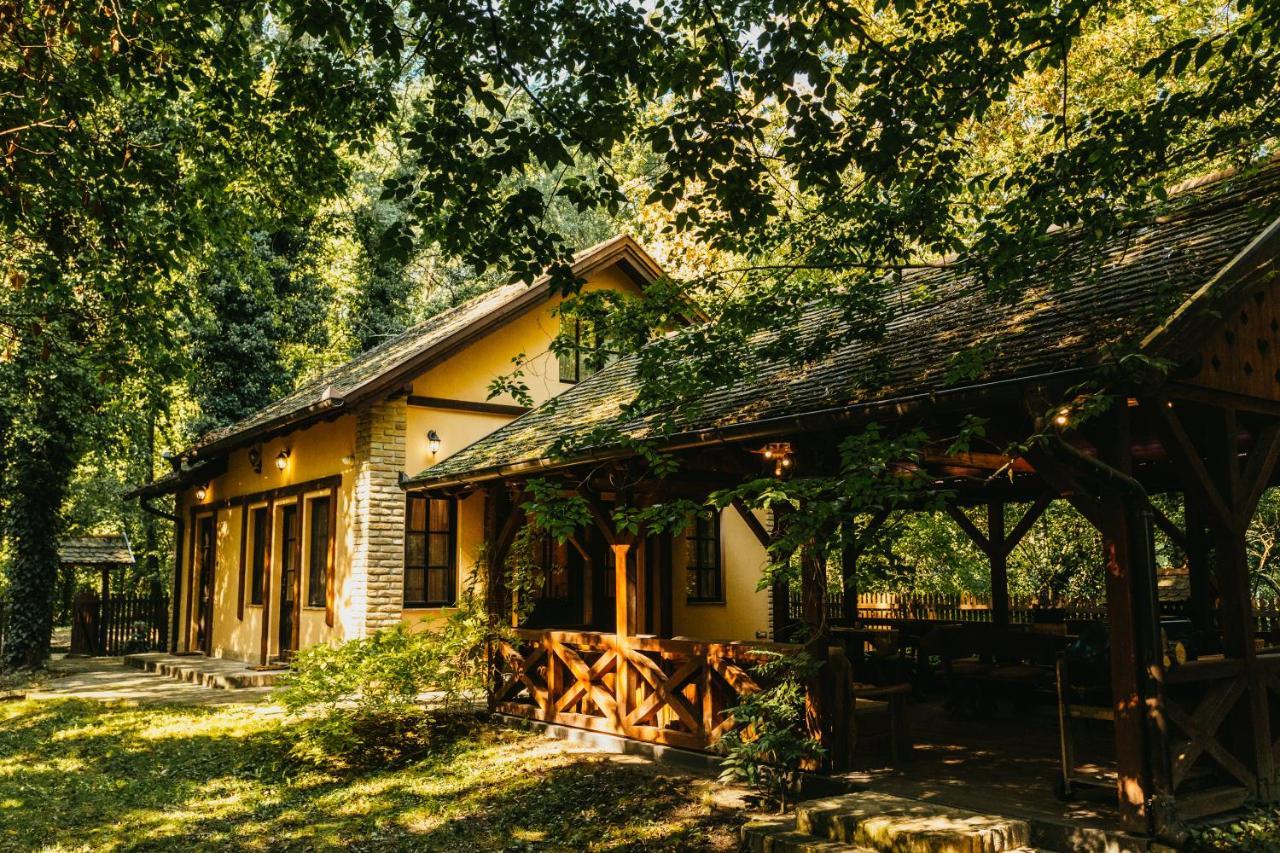 Forest House Палич Экстерьер фото