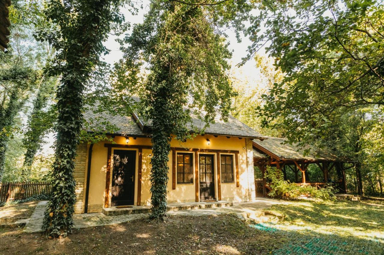 Forest House Палич Экстерьер фото