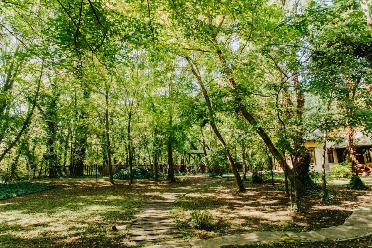 Forest House Палич Экстерьер фото