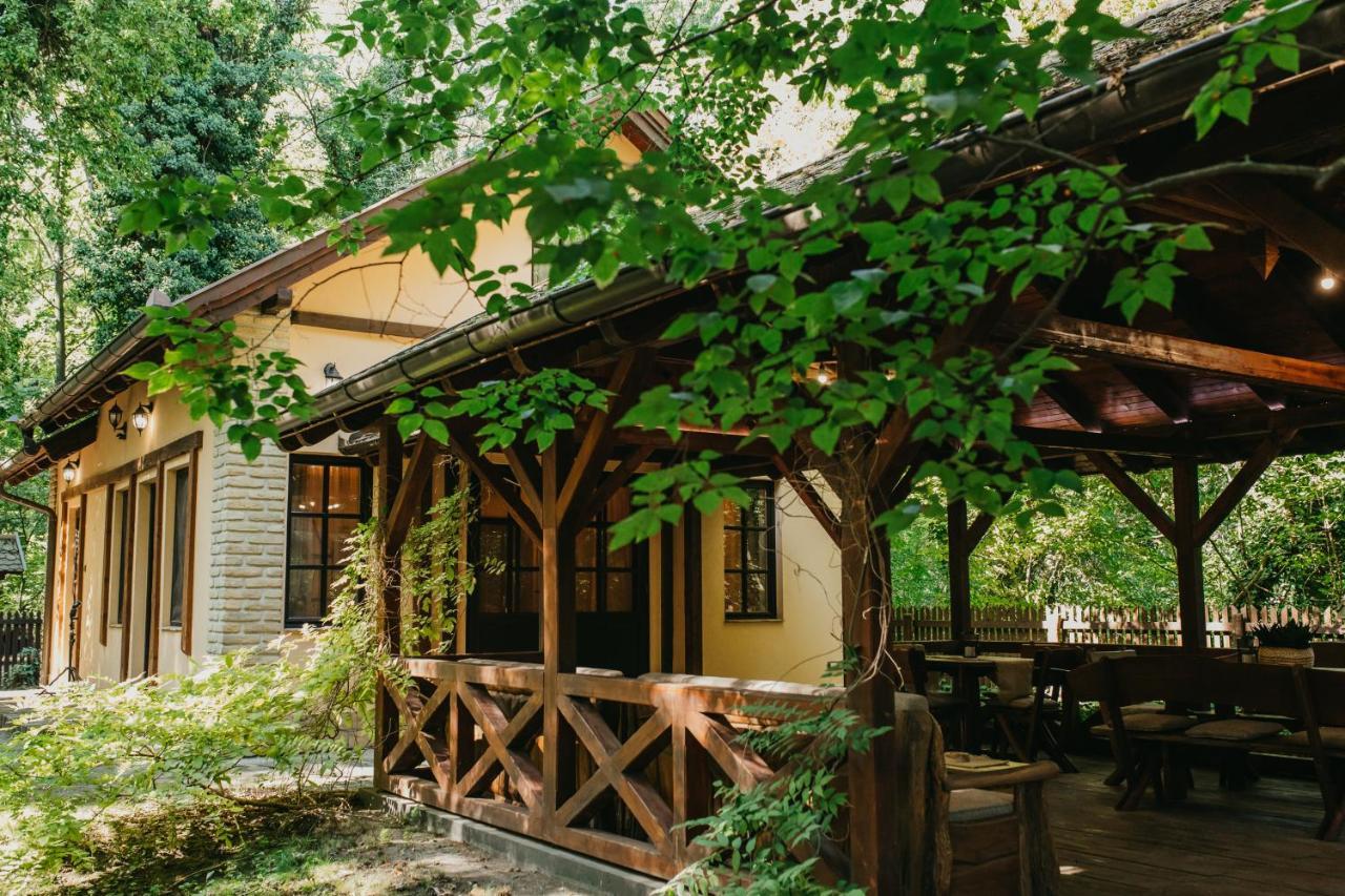 Forest House Палич Экстерьер фото