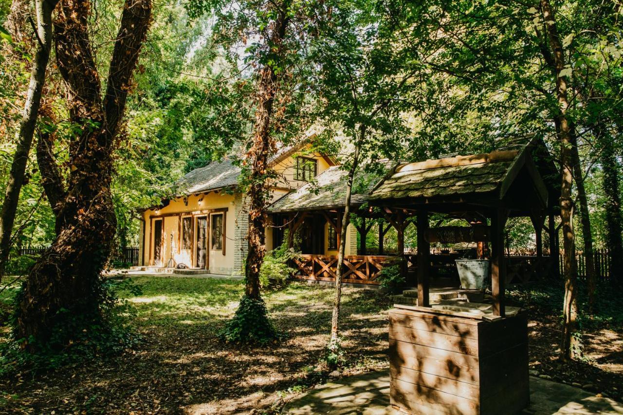 Forest House Палич Экстерьер фото