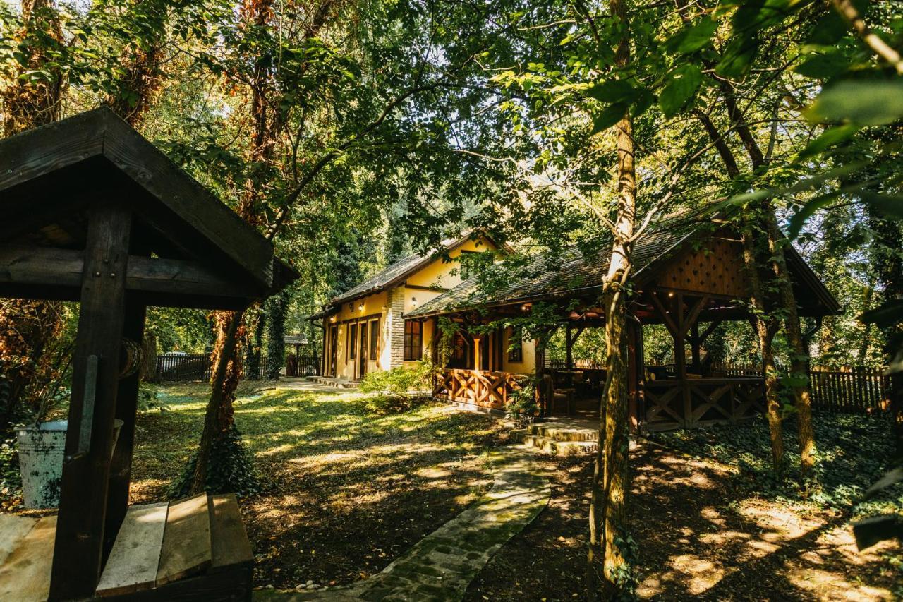 Forest House Палич Экстерьер фото