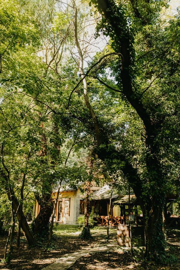 Forest House Палич Экстерьер фото