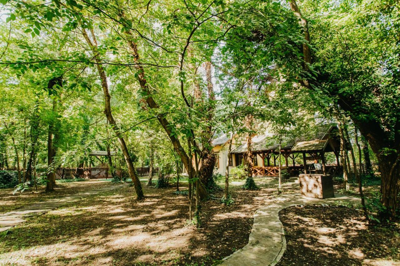 Forest House Палич Экстерьер фото